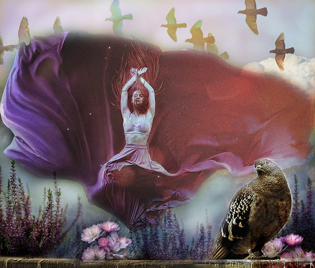 国智慧和力 国智慧和力