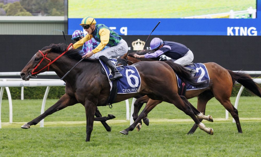 磨合時間大 磨合時間大