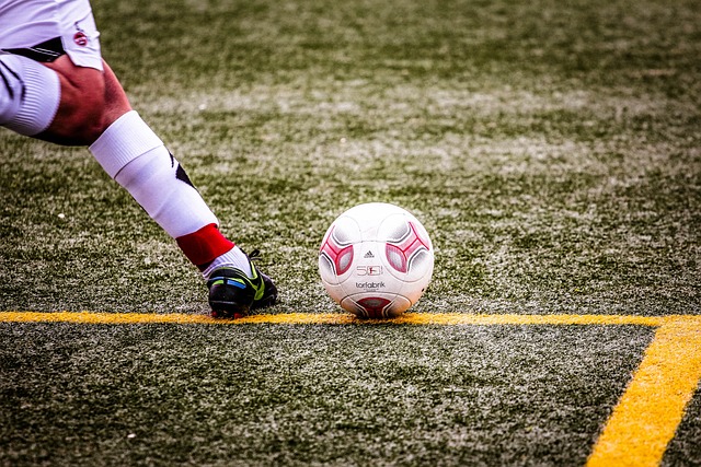 仅彰显了中 仅彰显了中