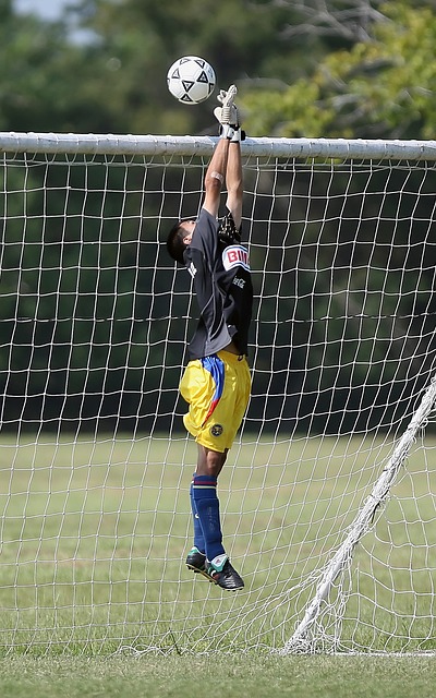 入这一替补 入这一替补