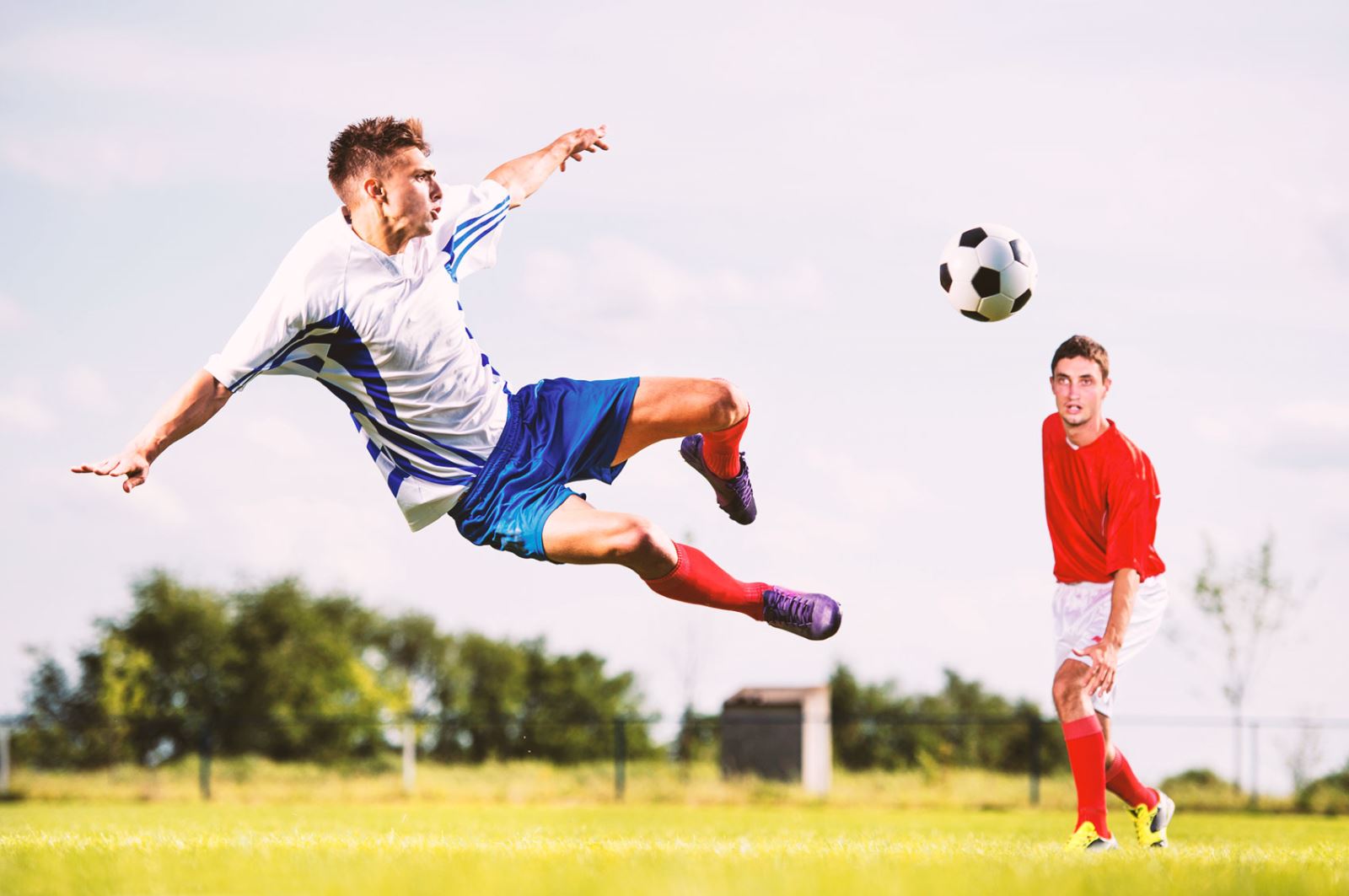 阵容同样星 阵容同样星